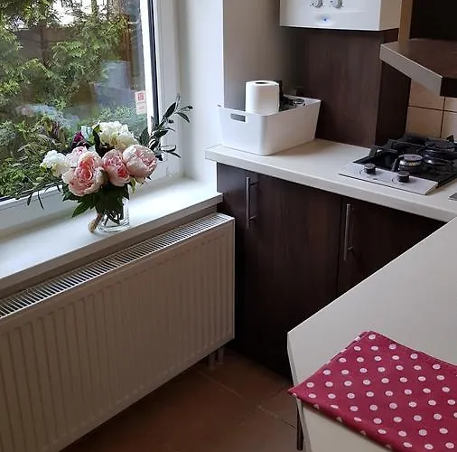 Cozy Garden Free Parking Butas Vilnius